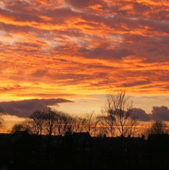 Meet your Posher, Laura - Picture 1 of 1